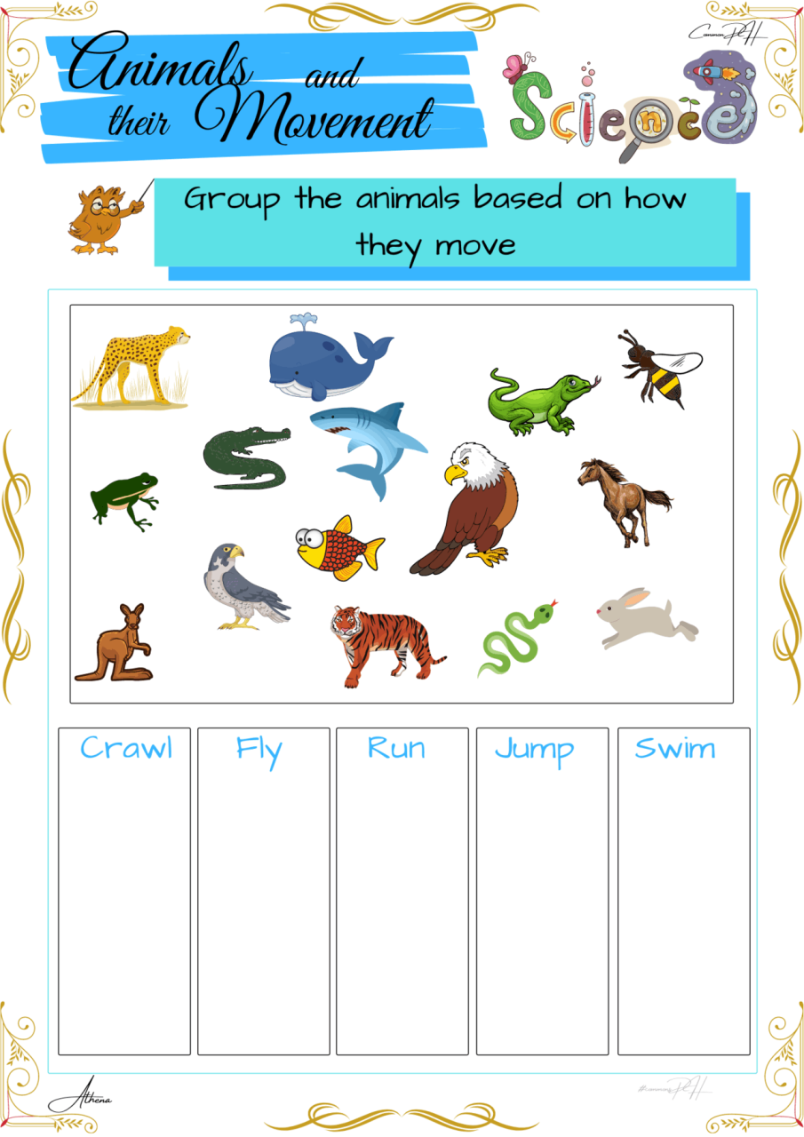 Grade 1 Science Activity Sheets Animals and their Movements Part 3