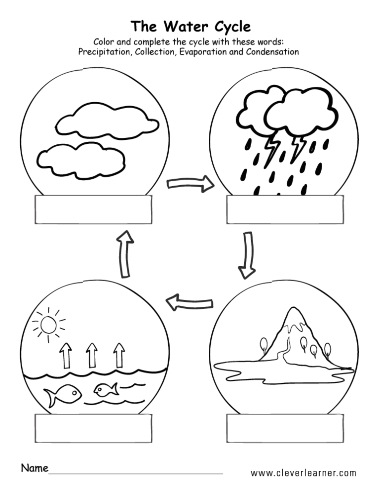 2nd Grade Water Cycle Worksheet For Kids