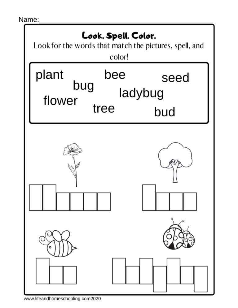 Kindergarten Spelling Activities