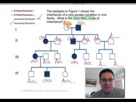 Answer Key Pedigree Analysis Worksheet Answers