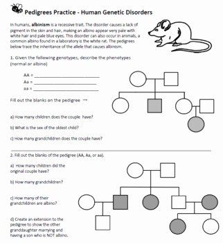 Pedigree Practice Worksheet Answers
