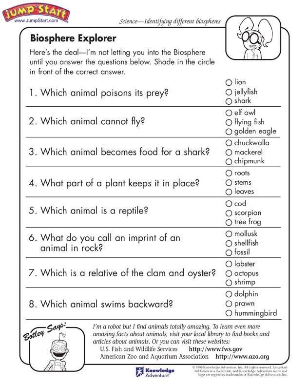 3rd Grade Science Worksheets With Answer Key