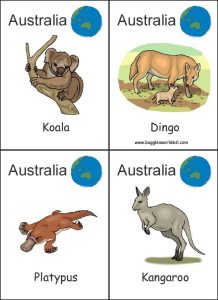 Australia various worksheets Australia animals, Geography for kids
