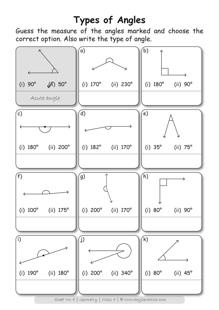 Math Worksheets Grade 5 Angles