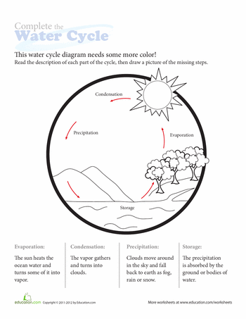 Water Cycle Diagram Worksheet Answers