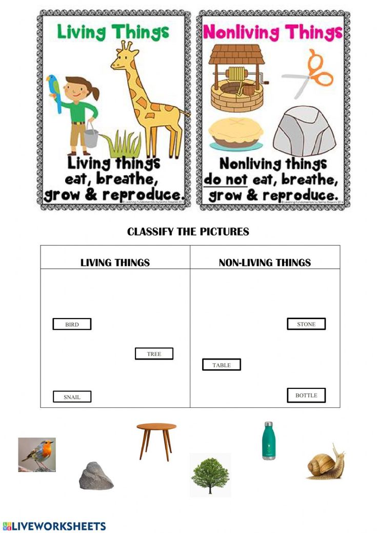 Living and nonliving things interactive activity for Grade 4. You can