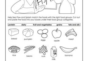 Food Worksheets For Grade 1
