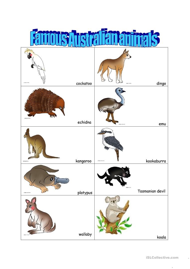 Free Printable Pictures Of Australian Animals Free Printable