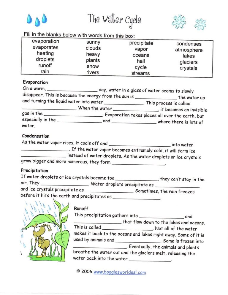 Water Cycle Worksheet 6th Grade Answer Key