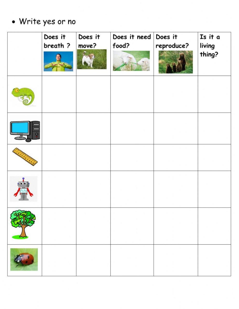 Living things and non living things Interactive worksheet Living