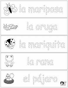 Spanish for Kids Woksheets El abecedario en español, Ejercicios de