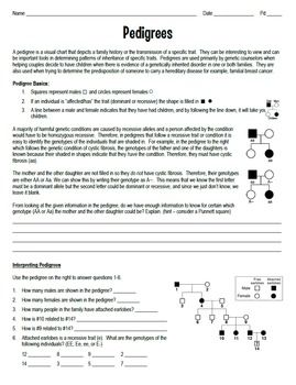 Pedigree Worksheet Interpreting A Human Pedigree Answers