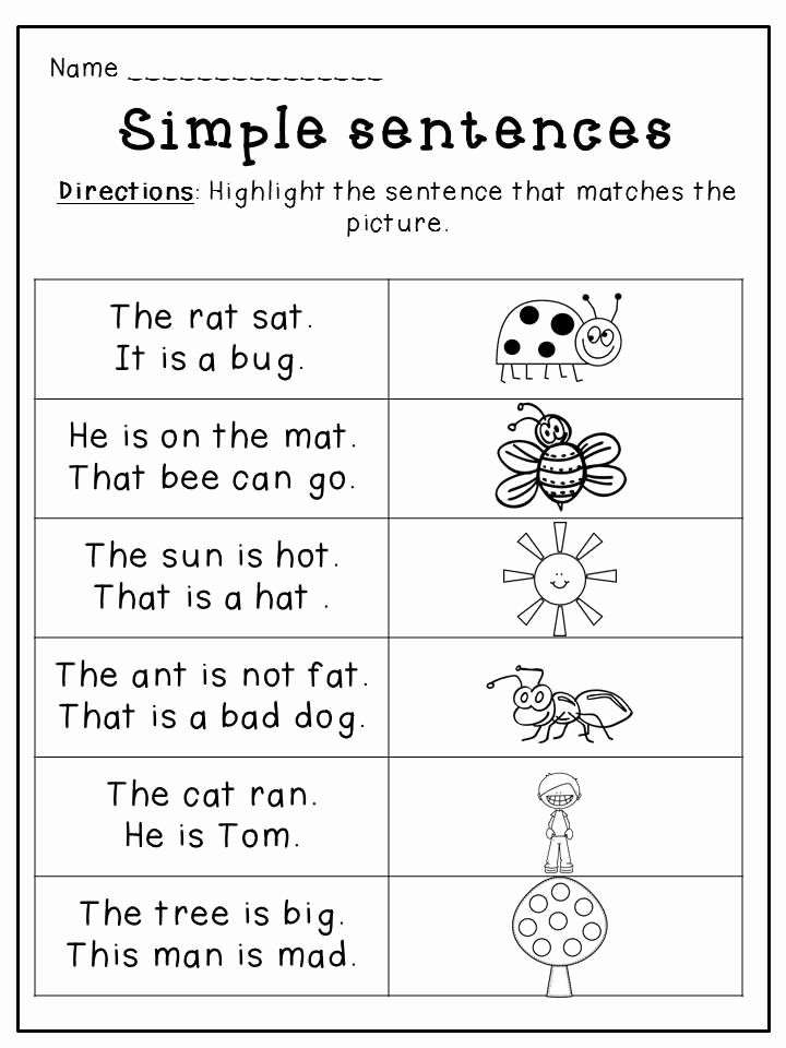 Who What Where Worksheets For Kindergarten Pdf