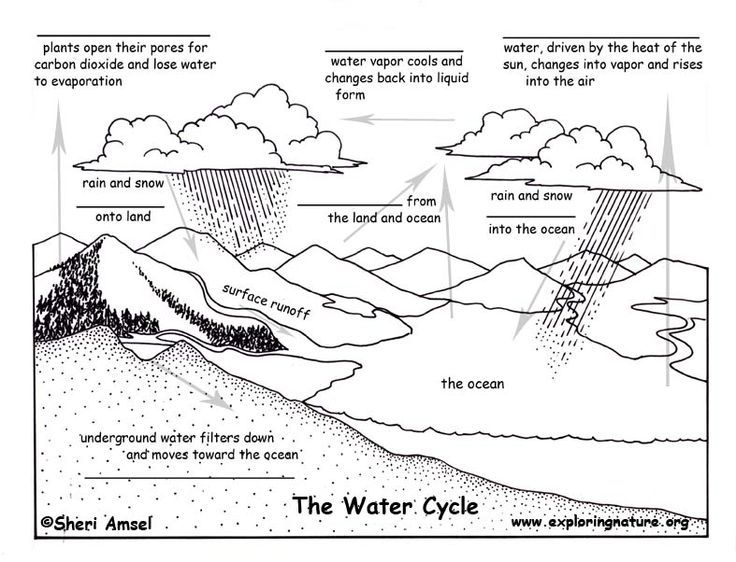 The Water Cycle Worksheet Answers Biology