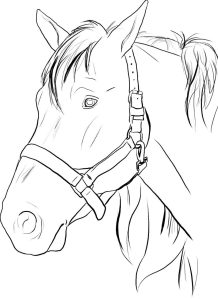 horse head coloring pages to print Google Search Horse coloring