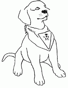 Realistic puppy coloring pages download and print for free