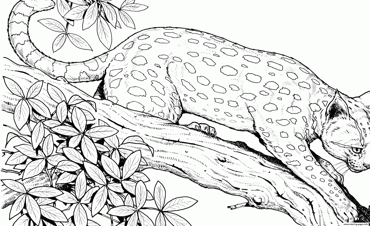 Cool Animal Coloring Pages Hard 2022