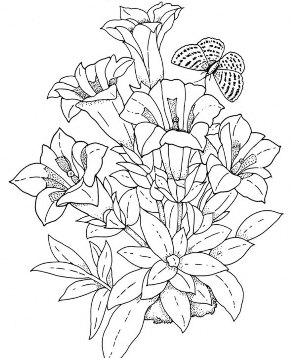 Famous Flower Coloring Page Free References