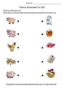 Where does it come from? Worksheets for kids, Educational games for