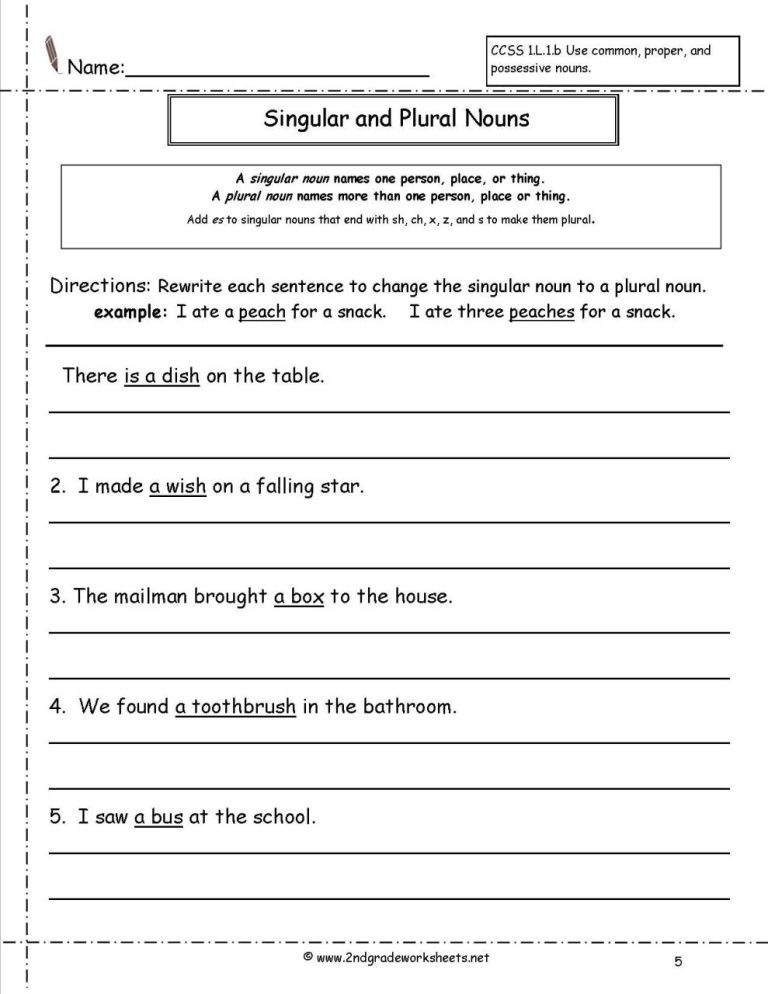 Fifth Grade Singular Plural Worksheet For Class 6