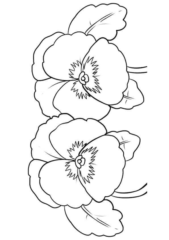 Cool Types Of Coloring Pages Ideas