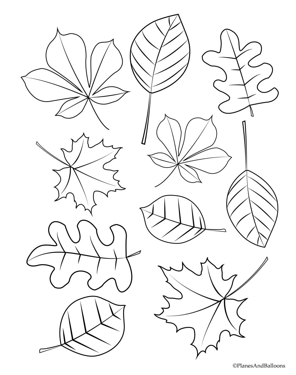 List Of Fall Coloring Pages Leaves Ideas