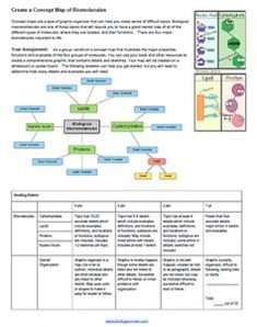 Biology Macromolecules Worksheet Answers