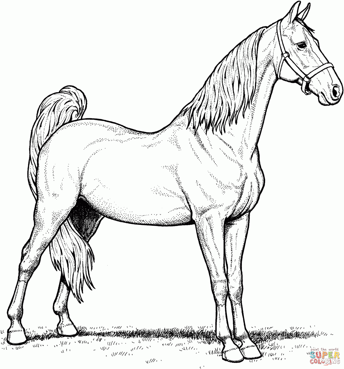 +20 Horse Coloring Pages 2022