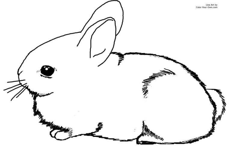 The Best Bunny Coloring Pages Cute Ideas