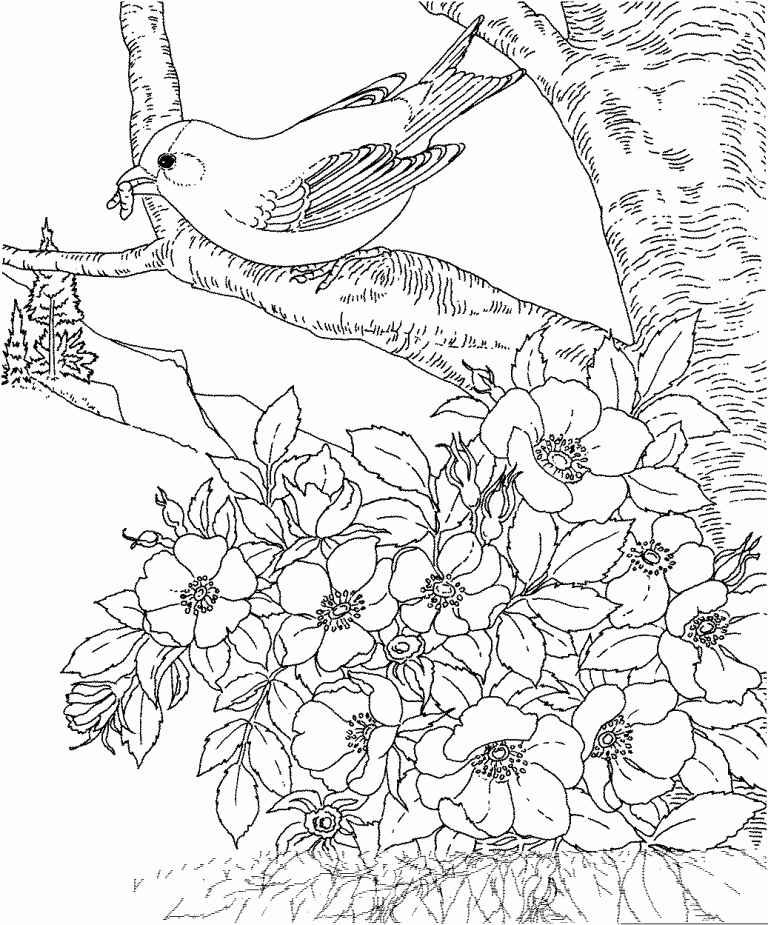 +20 Coloring Pages Of Flowers And Birds Ideas