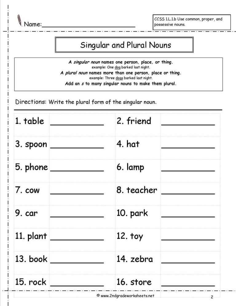 5th Grade Plural Nouns Worksheet