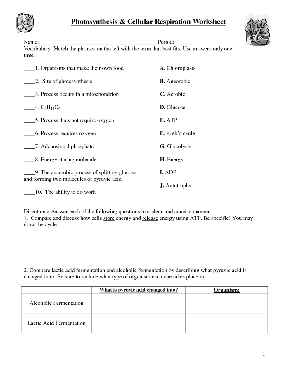 Counting Atoms Worksheet Answer Key Clear