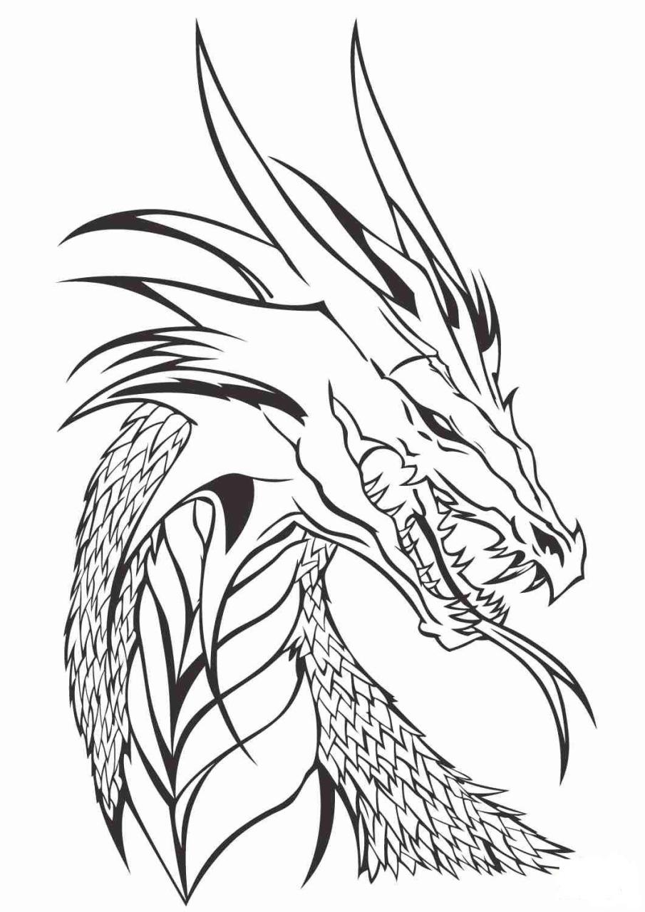 Famous Dragon Coloring Pages Realistic Ideas