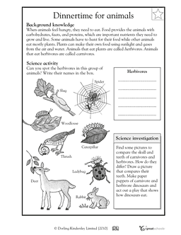 4th Grade Free Science Worksheets