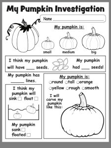 Pumpkin Investigation Kindergarten science, Pumpkin lessons