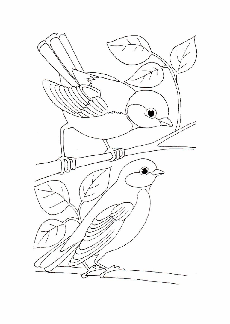 Famous Bird Coloring Pages Pdf Ideas