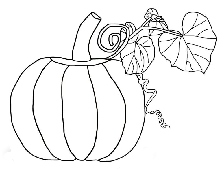 +13 Pumpkin Coloring Pages For Toddlers 2022