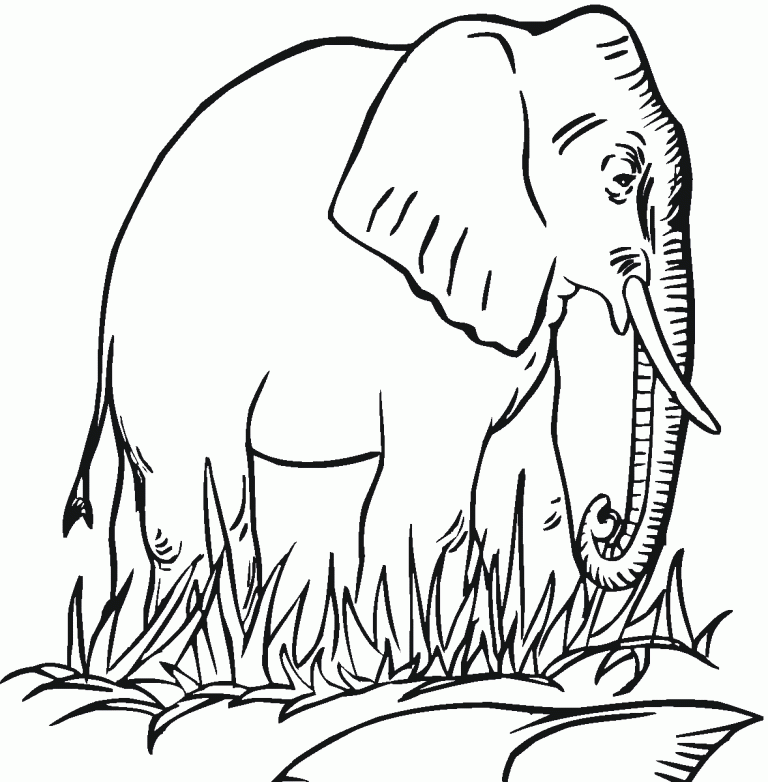 Incredible Elephant Coloring Pages Free Ideas