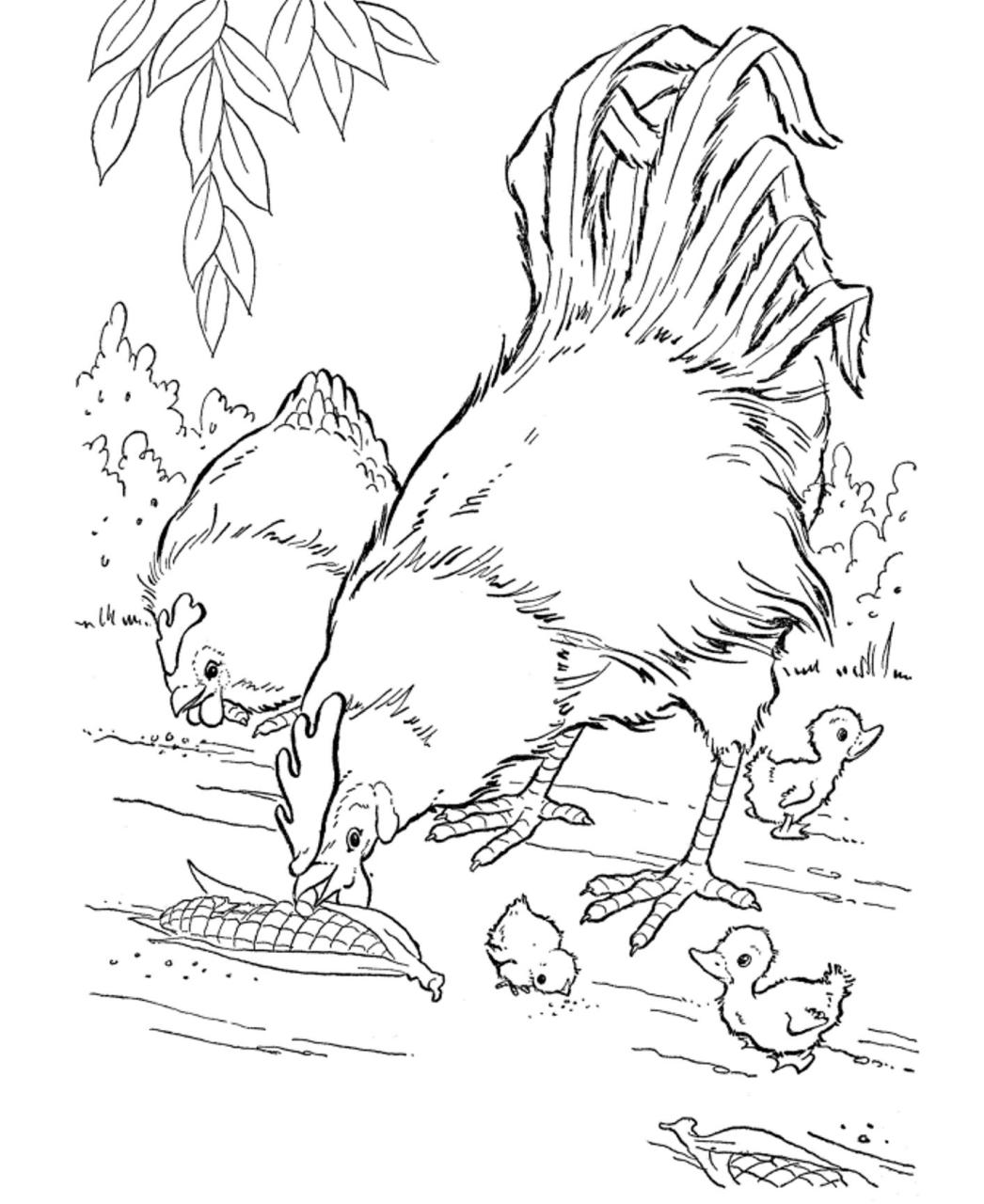 Review Of Coloring Pages Of Animals Printable References