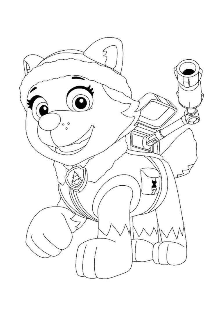Cool Paw Patrol Coloring Pages Everest References