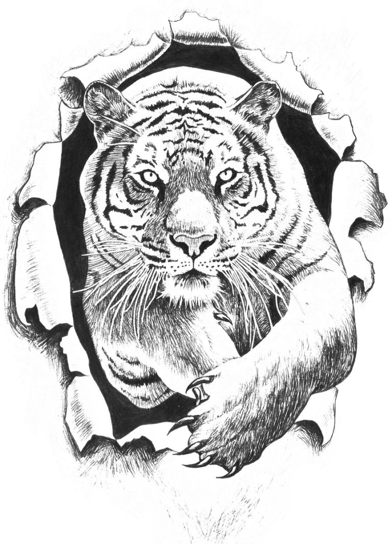 Famous Tiger Coloring Pages Pdf References