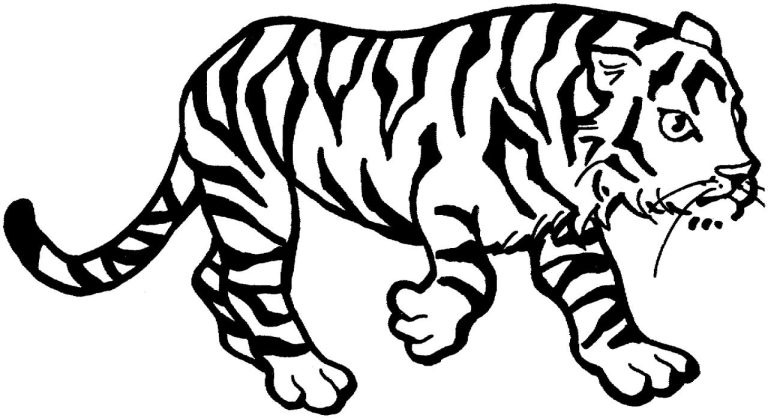 The Best Tiger Coloring Pages For Toddlers 2022
