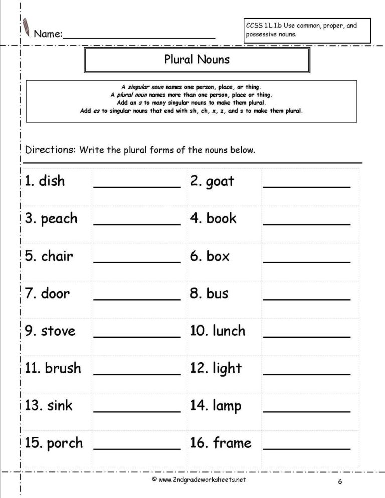 Singular And Plural Worksheets For Grade 3 With Answers