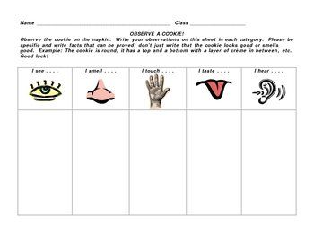 4th Grade Science Process Skills Worksheets