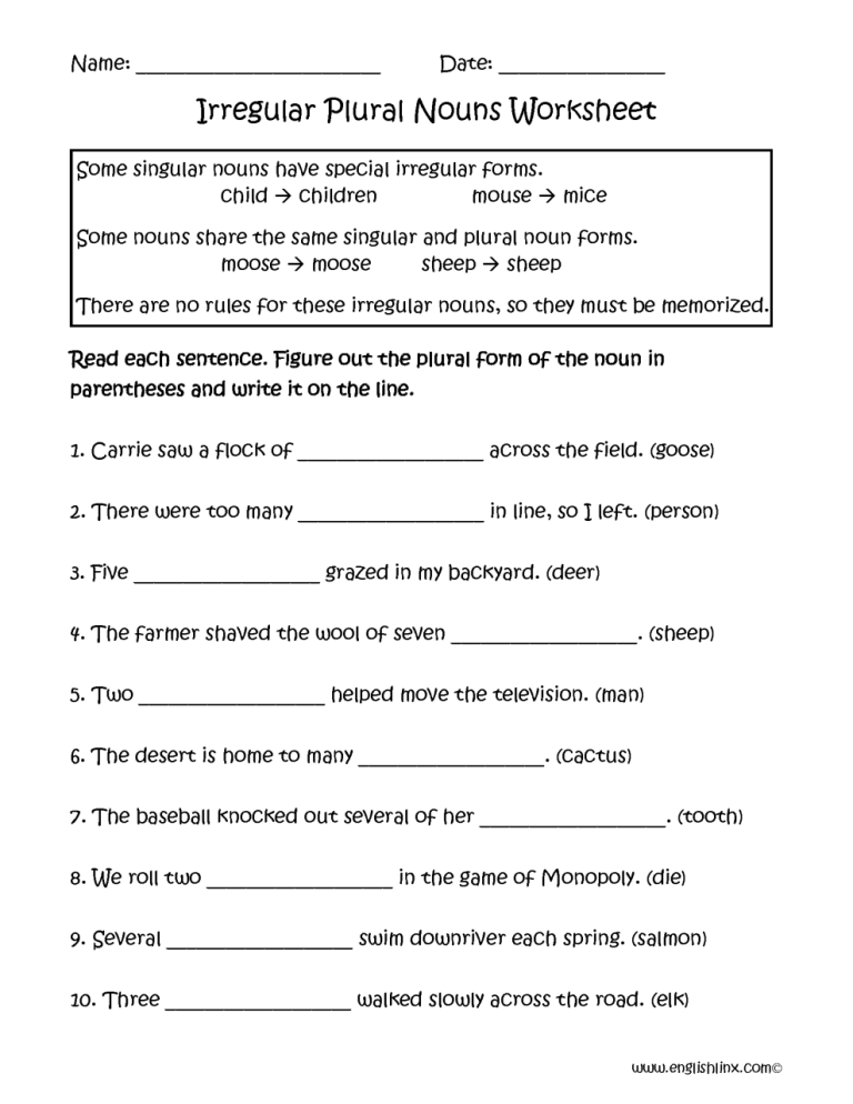 4th Grade Singular And Plural Nouns Worksheets With Answer Key