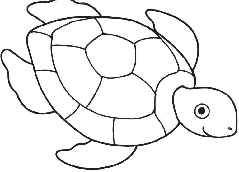 Cool Turtle Coloring Pages Pdf References