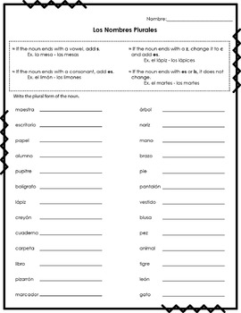 Kid Singular Plural Worksheets With Answers