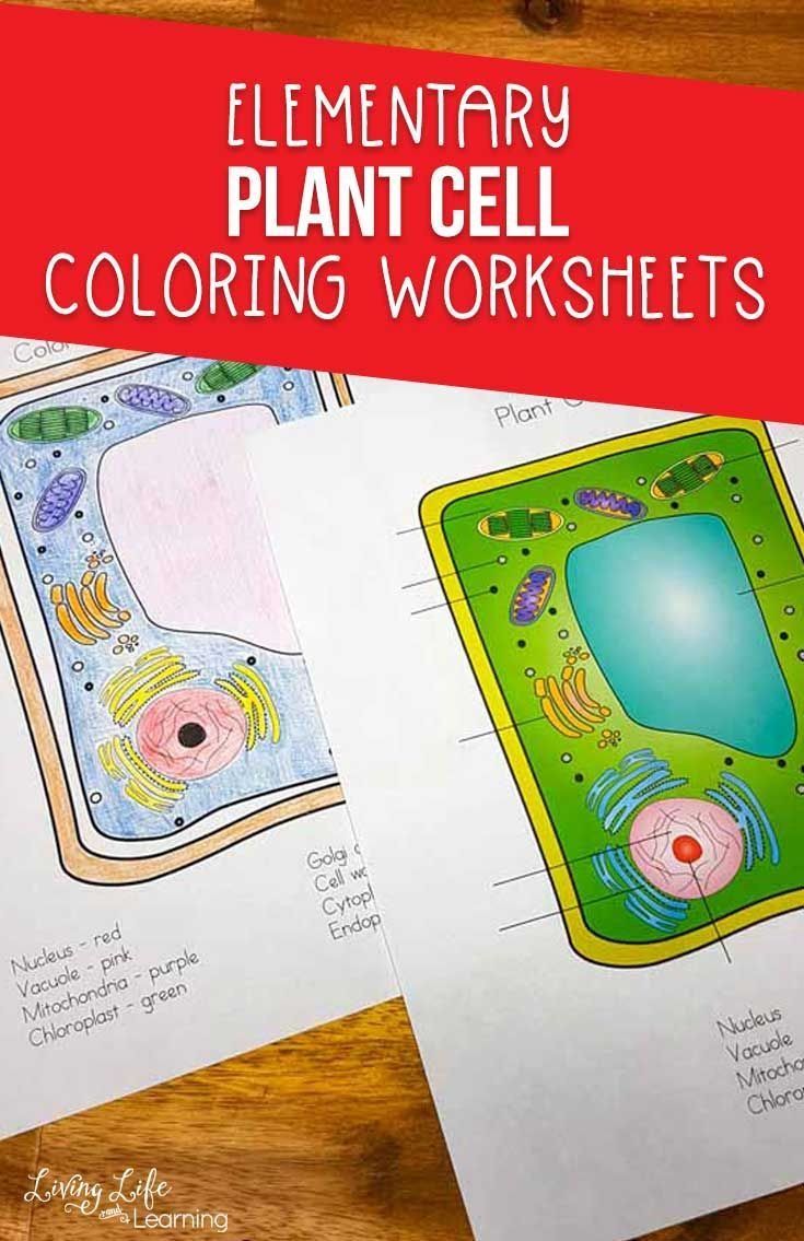 +10 Cell Coloring Worksheet Elementary Ideas