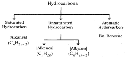 Worksheet For Class 10 Chemistry Carbon And Its Compounds