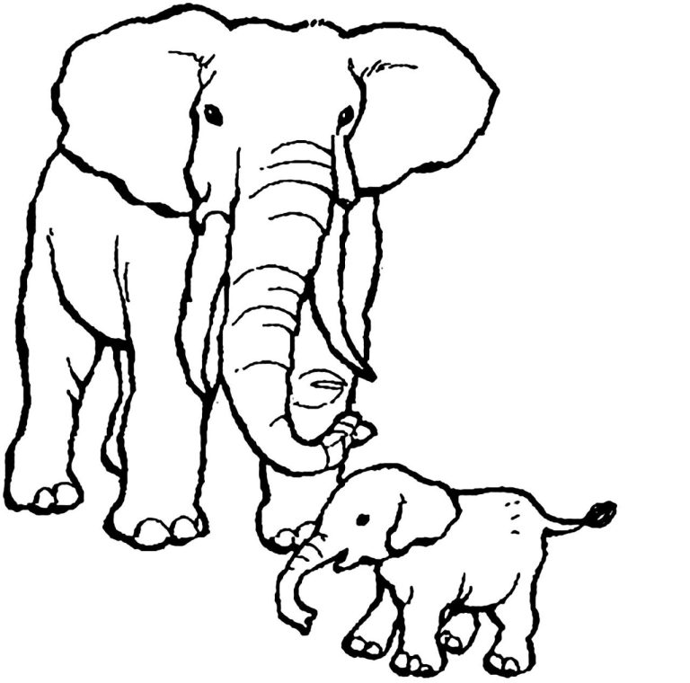 Review Of Elephant Coloring Pages Printable Ideas